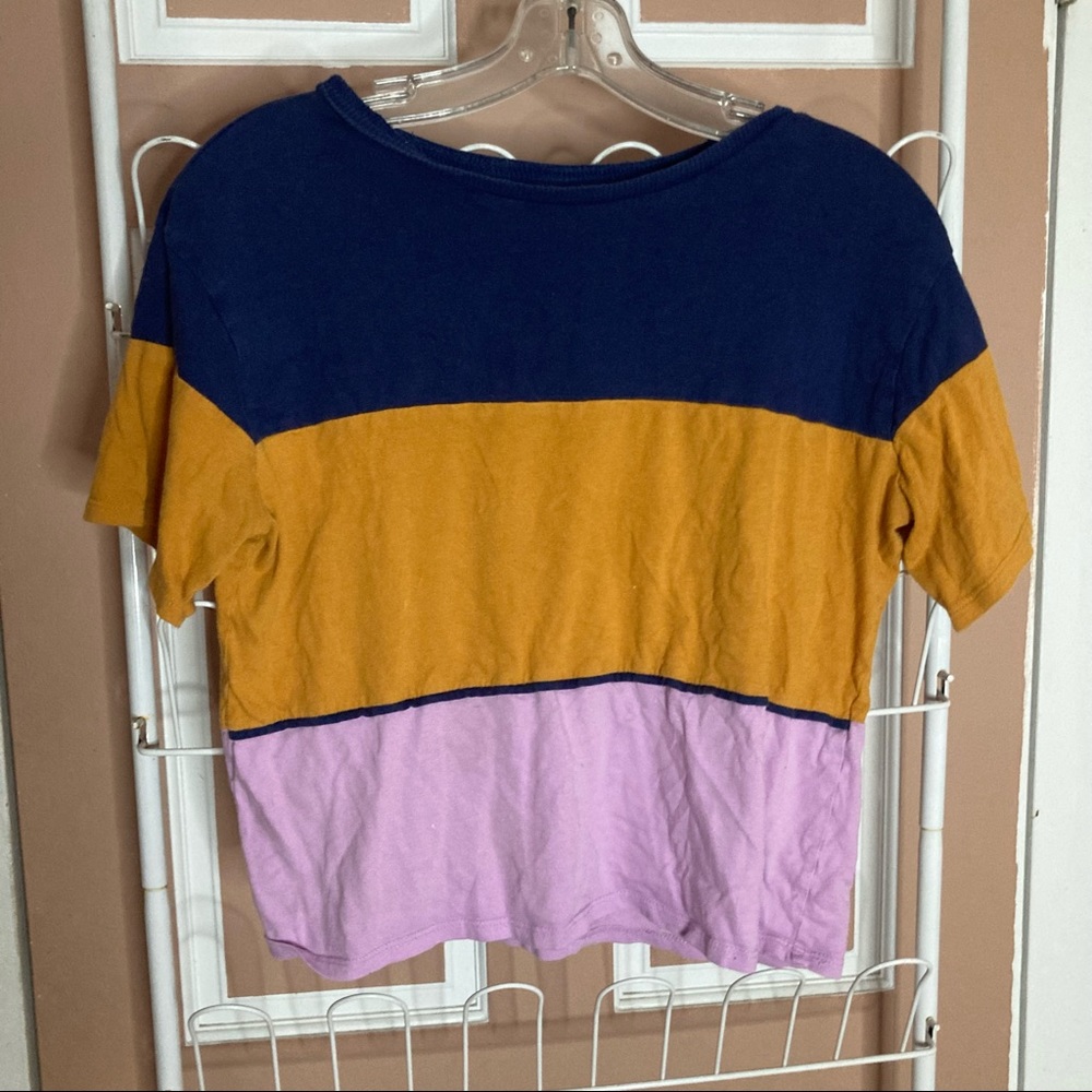 Arizona Cropped Tee